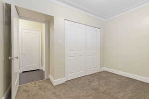 Unfurnished bedroom featuring carpet, a closet, and ornamental molding