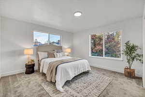 Bedroom with carpet floors