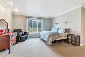 Primary bedroom featuring ornamental molding and light carpet