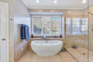 Bathroom with a wealth of natural light, crown molding, and plus walk in shower