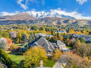 Bird's eye view featuring a mountain view