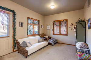 Living area featuring carpet flooring