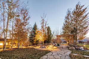 View of yard at dusk