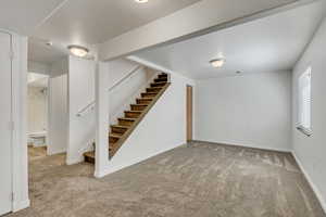 Basement featuring light colored carpet