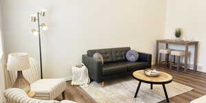 Living room featuring wood-type flooring