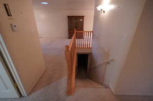 Staircase featuring carpet floors