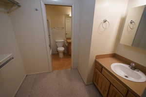 Bathroom featuring vanity, toilet, and wood-type flooring