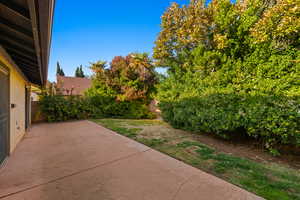 View of yard featuring a patio area