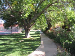 View of property's community with a yard