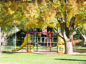 View of jungle gym