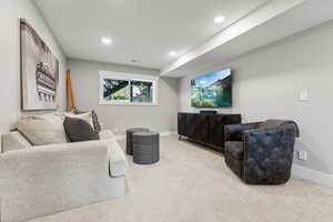 Lower Level Living Room