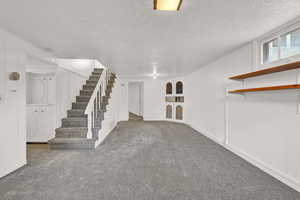 Basement featuring carpet and a textured ceiling