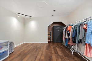 Spacious closet with dark hardwood / wood-style floors