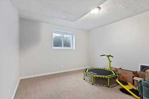 Recreation room featuring carpet and a textured ceiling