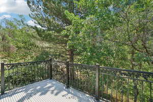 Balcony off Master Bedroom with view of wooded lot.  You'll see deer!