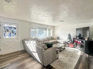 Living room featuring wood-type flooring and a textured ceiling