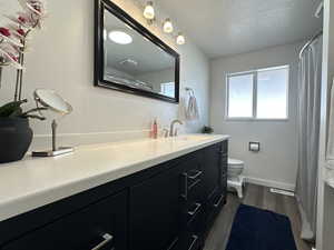 Bathroom featuring vanity, toilet, wood-type flooring, and a textured ceiling