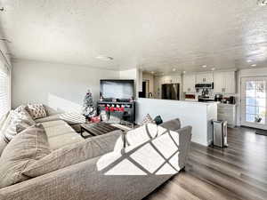 Living room with a textured ceiling and dark hardwood / wood-style flooring