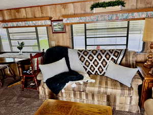 Carpeted living room featuring wooden walls