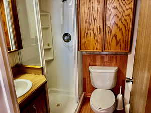 Bathroom with wood-type flooring, vanity, toilet, and walk in shower