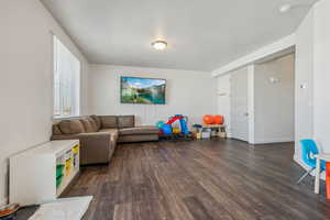 Living room featuring dark wood-type flooring