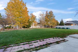 View of yard with a patio area