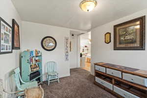 Sitting room with ceiling fan, a textured ceiling, and dark colored carpet