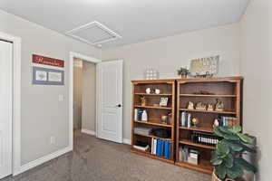 Miscellaneous room featuring a textured ceiling and carpet flooring