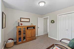 Living area with carpet flooring and a textured ceiling