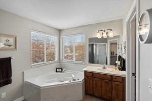 Bathroom featuring vanity and separate shower and tub