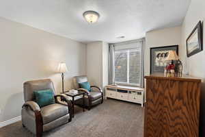 Sitting room featuring dark colored carpet and a textured ceiling