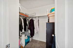 Walk in closet with carpet flooring