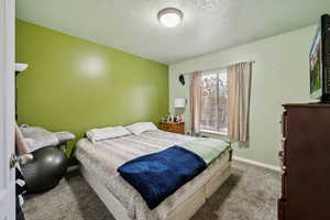 Carpeted bedroom with a textured ceiling