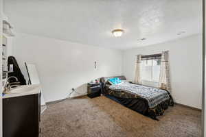 Bedroom featuring carpet flooring, sink, and a textured ceiling