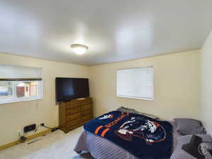 Bedroom with carpet floors