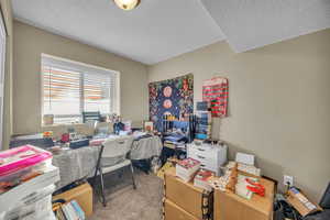 Carpeted office with a textured ceiling