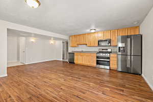 Downstairs Kitchen with stainless steel appliances, sink, light brown cabinets, dark hardwood / wood-style floors, and a textured ceiling