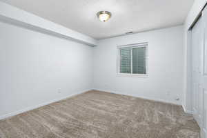 Downstairs carpeted empty room featuring a textured ceiling