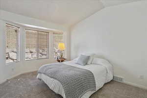 Bedroom featuring visible vents, baseboards, vaulted ceiling, and carpet floors
