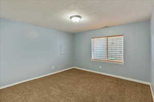 Unfurnished room with carpet flooring and a textured ceiling