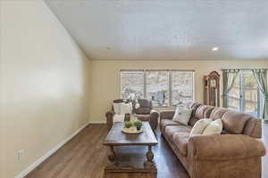 Living room featuring dark hardwood / wood-style flooring and a textured ceiling