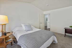 Bedroom featuring carpet floors, baseboards, and lofted ceiling