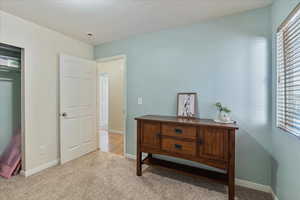 Office space with light carpet and a textured ceiling