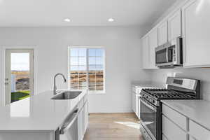 Kitchen featuring a healthy amount of sunlight, sink, an island with sink, and stainless steel appliances