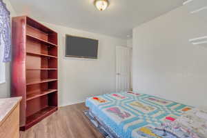 Bedroom featuring wood-type flooring