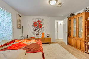 Carpeted bedroom with a textured ceiling