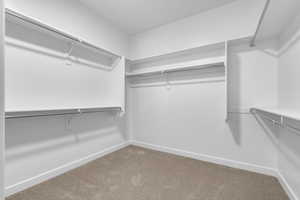 Walk in closet with carpet floors