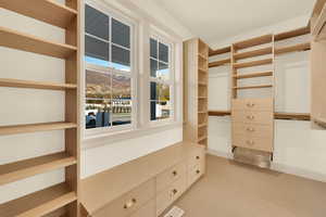 Spacious closet with light carpet