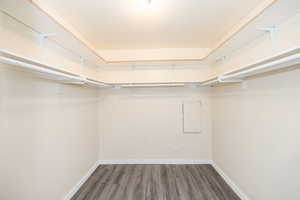 Spacious closet featuring dark hardwood / wood-style flooring