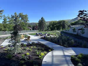 Afternoon view of the common space featuring patio areas, and water-wise planting.